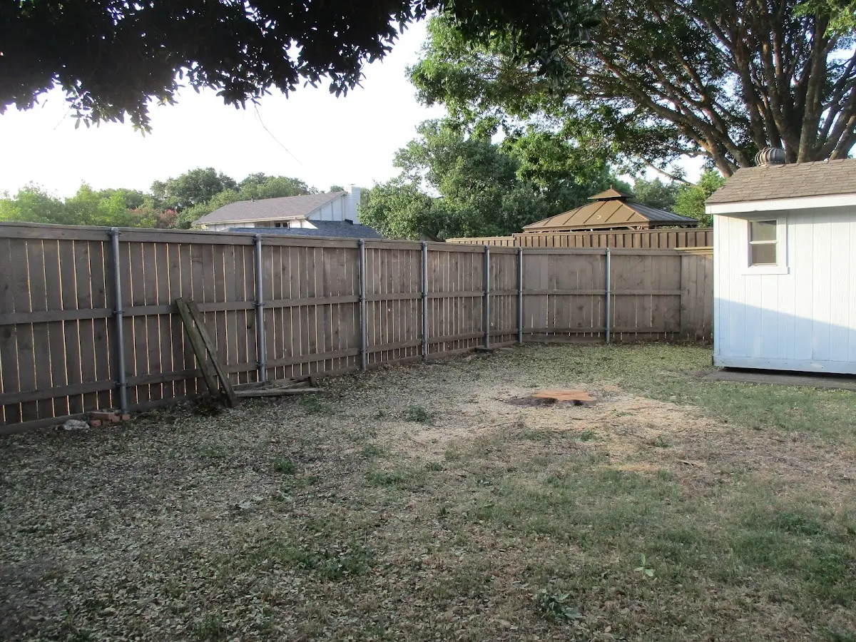Cleared yard after professional tree removal in Jewell